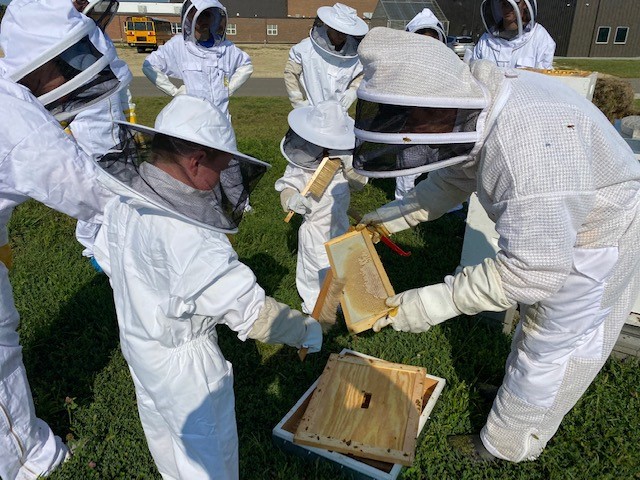 A group of people in beekeeping suits inspecting a beehive outdoors.