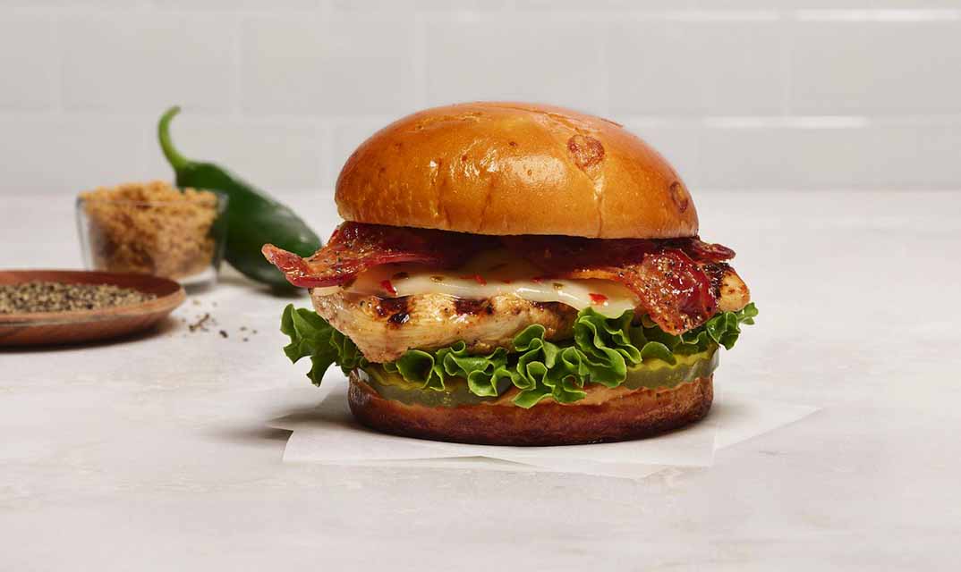 Grilled chicken sandwich on a toasted bun with maple pepper bacon, lettuce, pickles, and cheese.