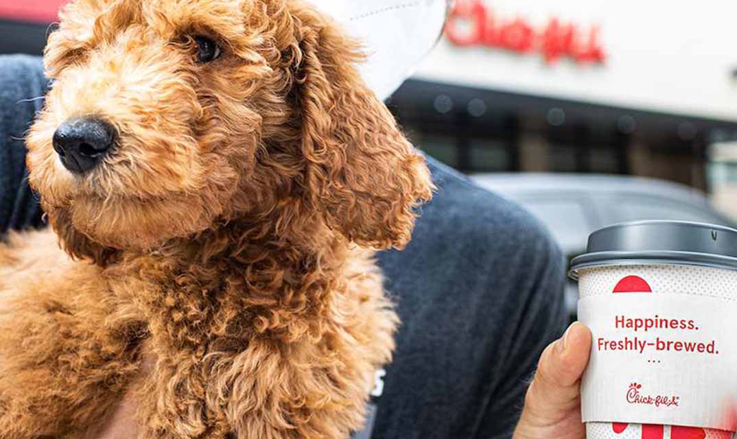 A person holds a fluffy brown puppy in one hand and a Chick-fil-A coffee cup with the words “Happiness. Freshly-brewed.” in the other.