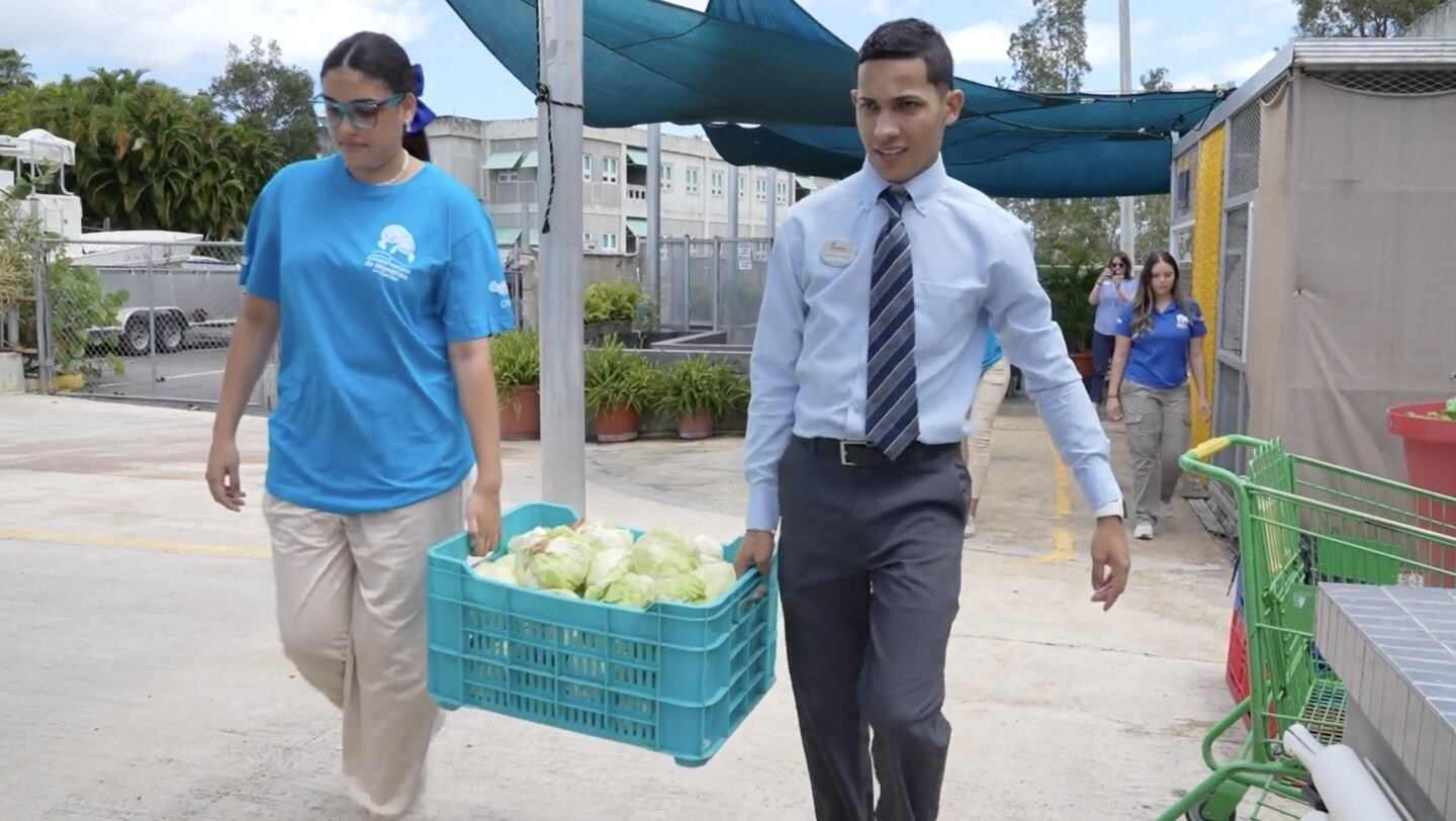 Two people carrying a crate of cabbages outdoors.