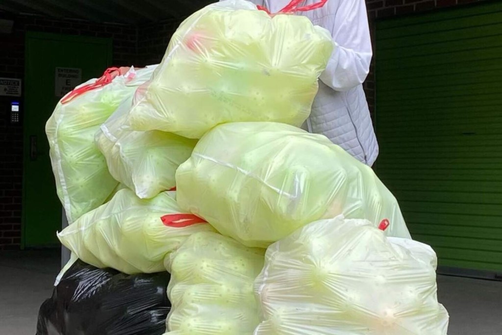 Bags of pickle balls.