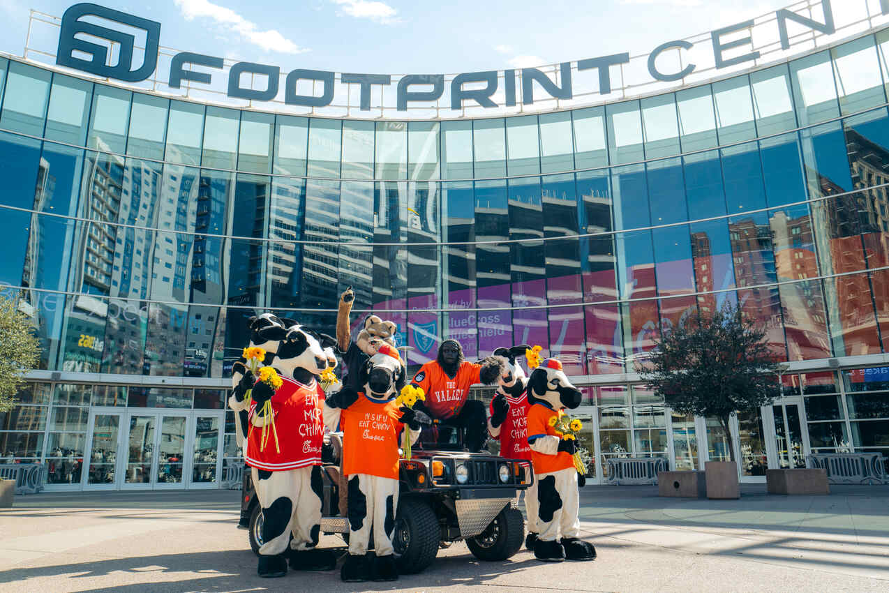 Cows and other mascots outside of a sports arena
