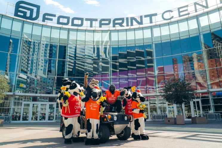 Cows and other mascots outside of a sports arena
