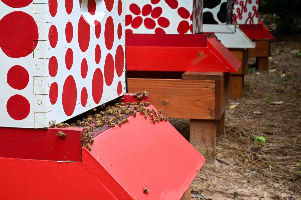 Beehives painted with red and black patterns on wooden stands, surrounded by bees.