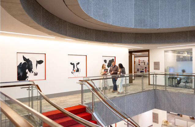 People standing on a balcony looking at pictures of the Chick-fil-A Cows
