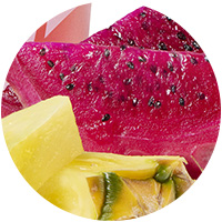 closeup of dragon fruit and pineapple