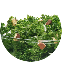 Closeup of the crunchy almonds