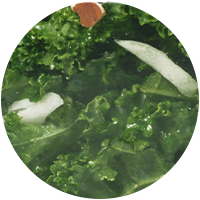 Closeup of the green cabbage strips