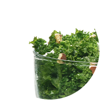 Closeup of the curly kale