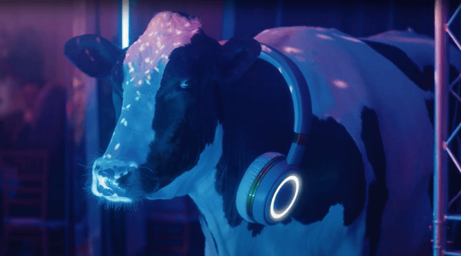 A cow wearing lit-up headphones in a colorful, dark setting.