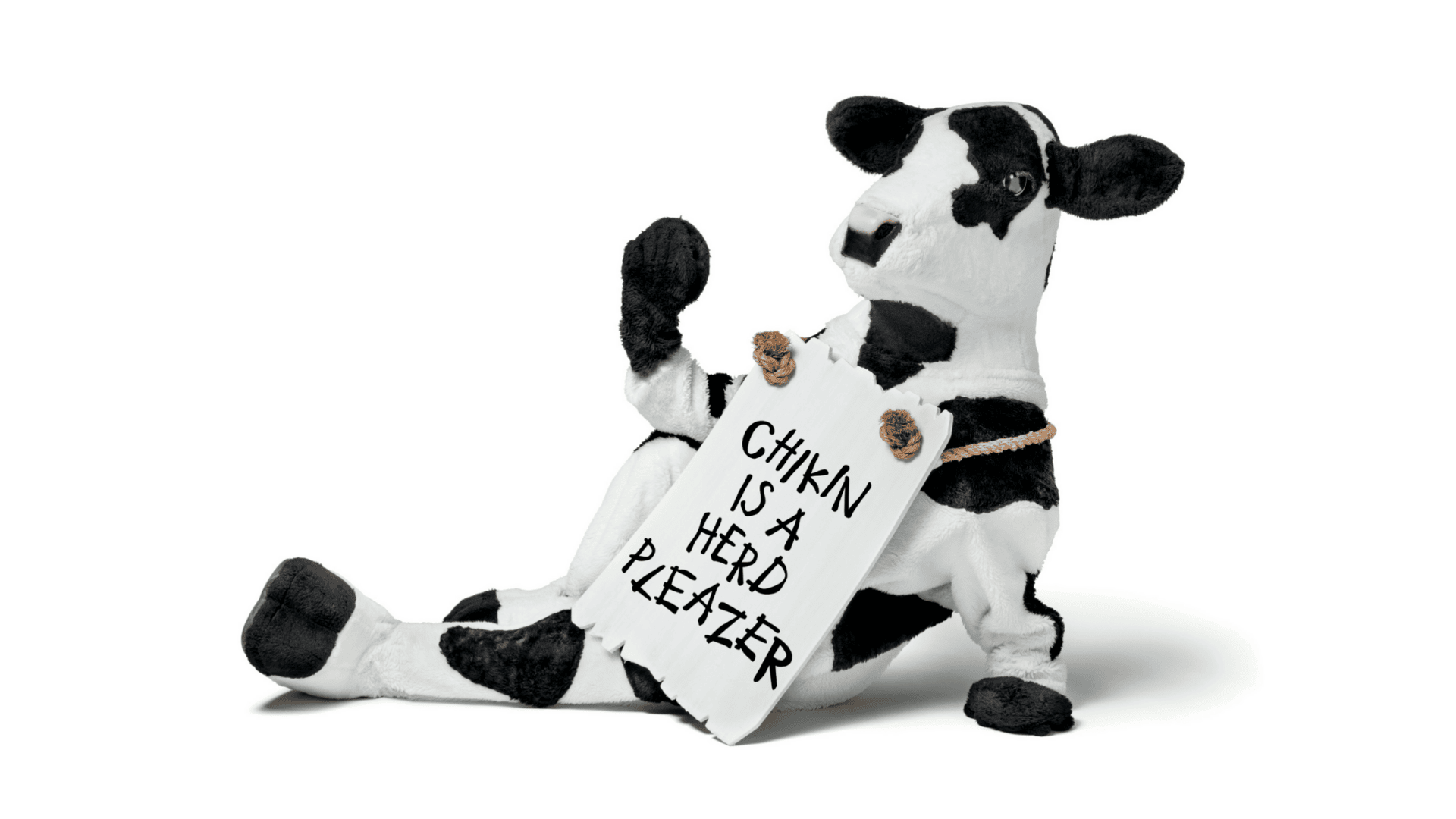 Cow mascot reclining with a sign around its neck that says CHIKIN IS A HERD PLEAZER.
